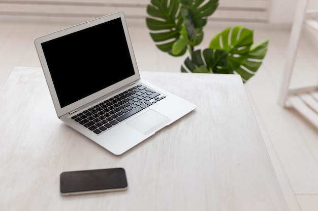 Gratis foto minimalistische office high-view laptop en monstera