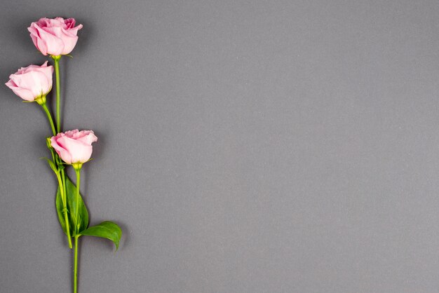 Minimalistische roze pastelbloemen