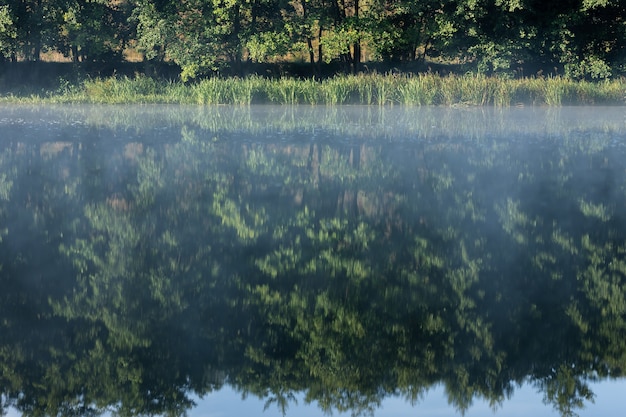 Mist over de rivier bij zonsopgang in het bos Bomen bij de rivier bij zonsopgang