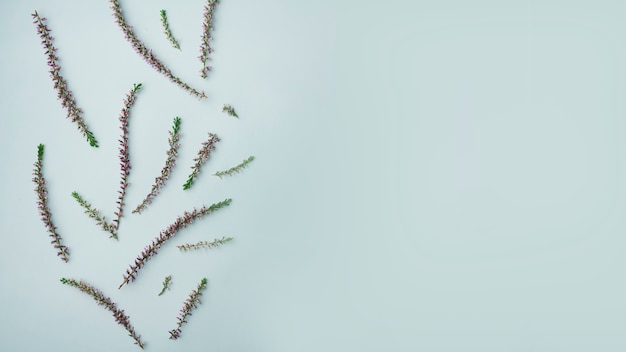 Modern bloemenconcept met elegante stijl