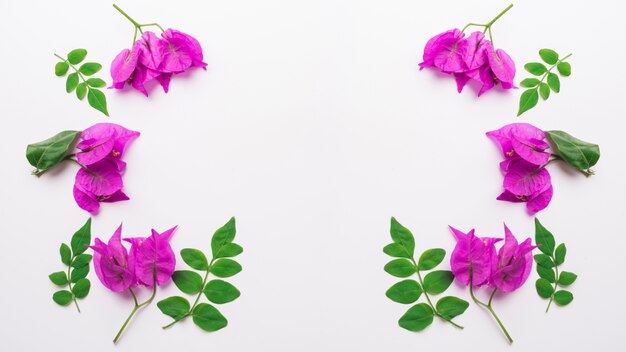 Modern bloemenconcept met elegante stijl