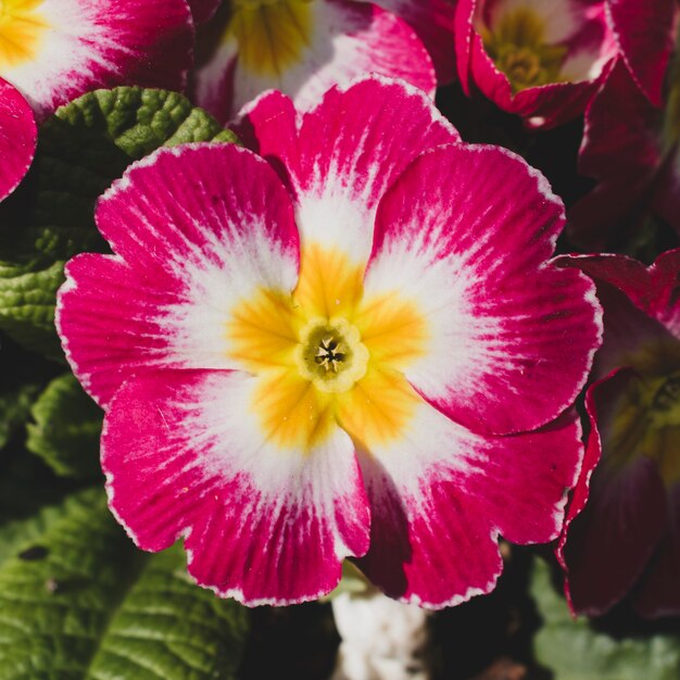 Moderne bloemensamenstelling met elegante stijl