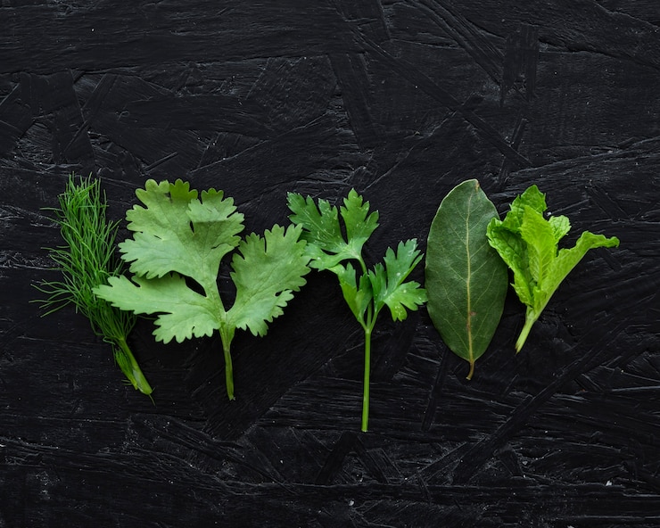 Gratis Foto moderne samenstelling van helathy ingrediënten