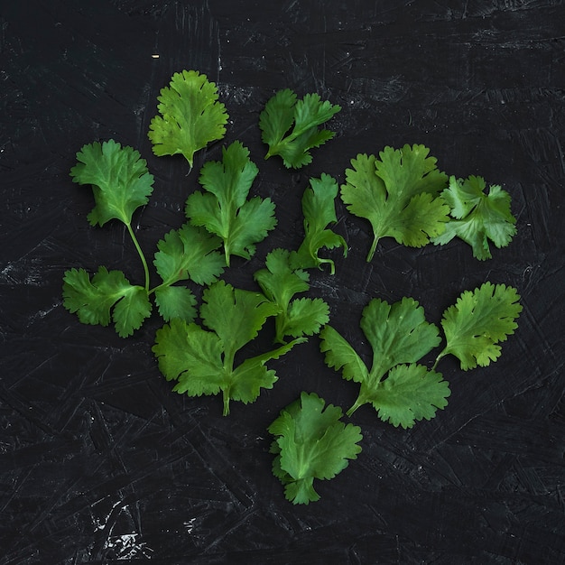 Gratis foto moderne samenstelling van helathy ingrediënten