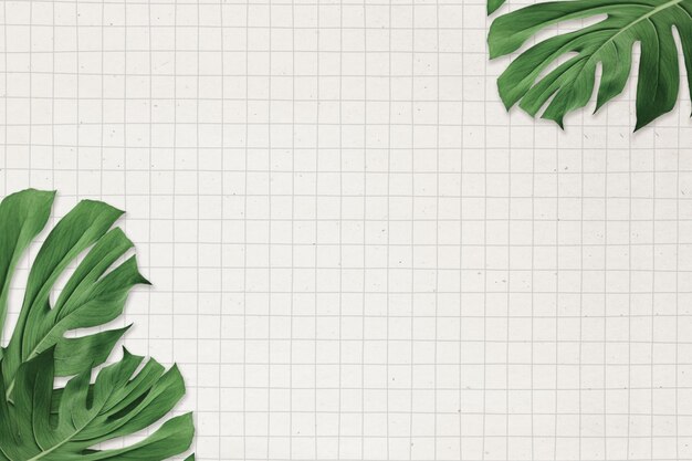 Monstera blad frame op rasterpapier achtergrond