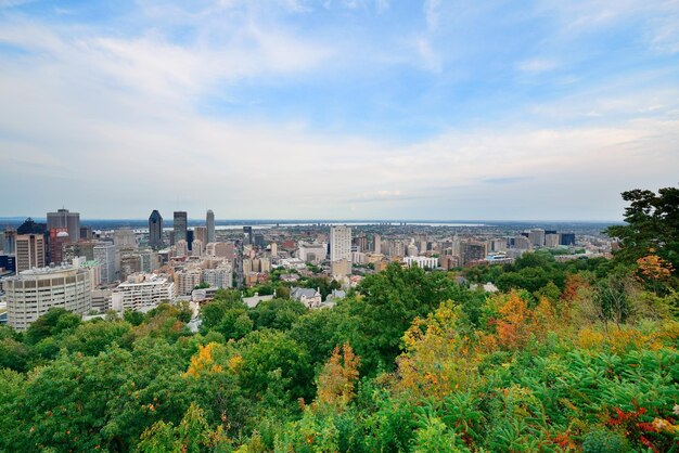 Gratis foto montreal dag uitzicht vanaf mont royal met skyline van de stad