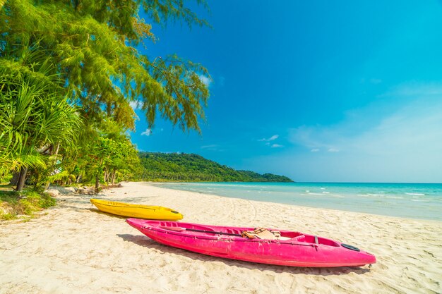 Mooi aard tropisch strand en overzees met kokosnotenpalm op paradijseiland