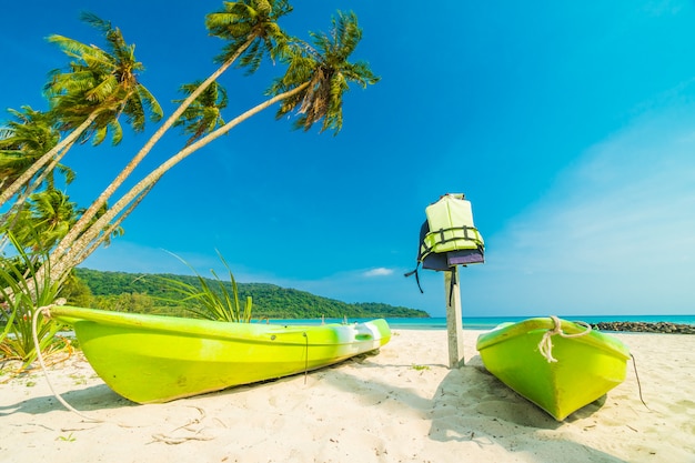 Mooi aard tropisch strand en overzees met kokosnotenpalm op paradijseiland