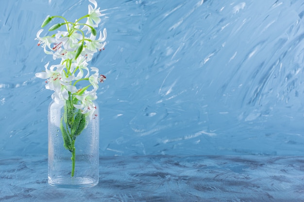 Mooi boeket van leliebloemen in een glasvaas op blauw.