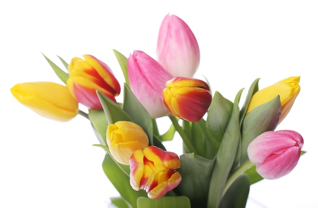 Gratis foto mooi boeket van tulpen, kleurrijke tulpen, aardachtergrond