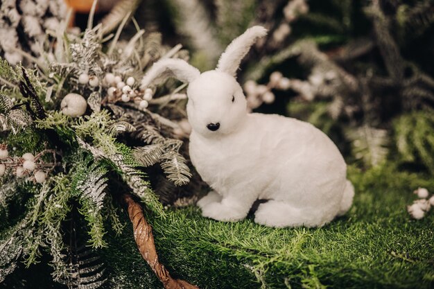 Mooi klein wit konijn in de buurt van een boom met veel andere bomen op de achtergrond