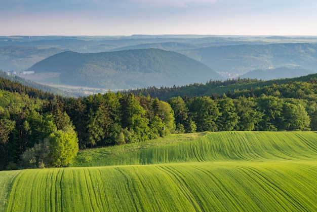 Mooi landschap dat van groene gebieden op heuvels is ontsproten die door een groen bos worden omringd