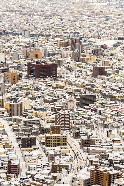 Mooi landschap en stadsbeeld van de berg Hakodate om rond de skyline van de stad te kijken