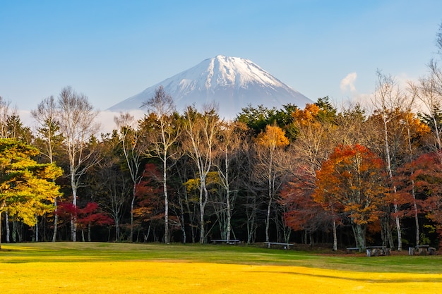 Gratis foto mooi landschap van berg fuji