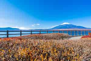 Gratis foto mooi landschap van bergfuji rond yamanakakomeer