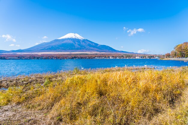 Mooi landschap van bergfuji rond yamanakakomeer