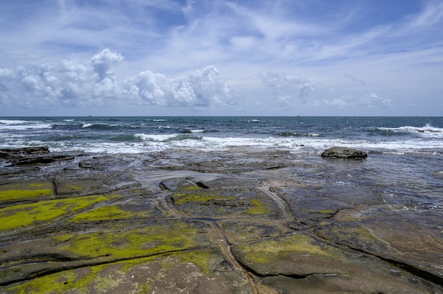 Gratis foto mooi landschap van de kust van het shelley-strand, sunshine coast, australië