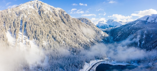 Mooi landschap van een bos in de besneeuwde alpen in de winter