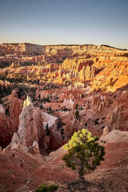 Gratis foto mooi landschap van een canyonlandschap in bryce canyon national park, utah, verenigde staten