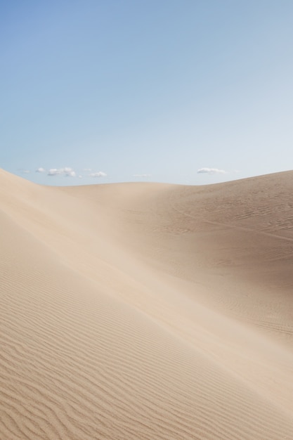 Mooi landschap van een woestijn onder de heldere hemel