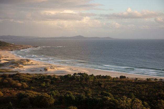 Gratis foto mooi landschap van het strand