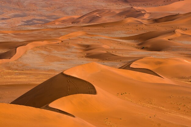 Mooi landschap van oranje zandduin oranje zand bij Namib woestijn in Namib-Naukluft nationaal park Sossusvlei in Namibië.