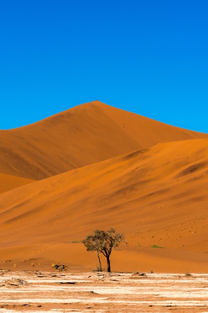 Gratis foto mooi landschap van oranje zandduin oranje zand bij namib woestijn in namib-naukluft nationaal park sossusvlei in namibië.