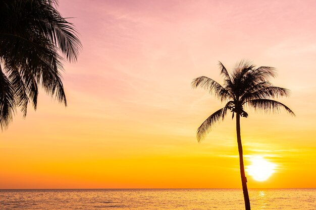 Mooi landschap van overzeese oceaan met de palmboom van de silhouetkokosnoot bij zonsondergang of zonsopgang