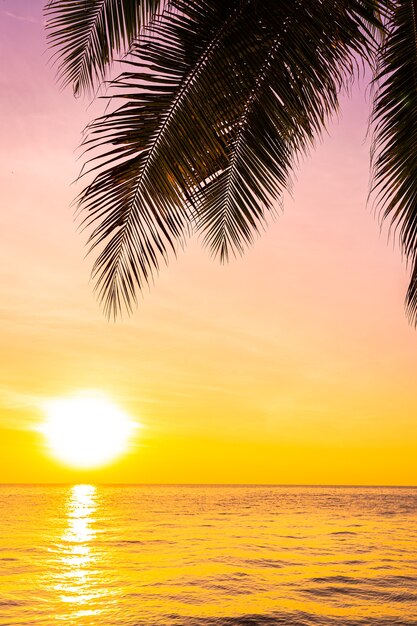 Mooi landschap van overzeese oceaan met de palmboom van de silhouetkokosnoot bij zonsondergang of zonsopgang