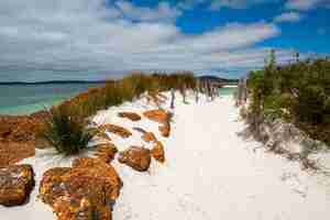 Gratis foto mooi landschap van rotsformatie en struiken op het zandstrand onder de bewolkte hemel