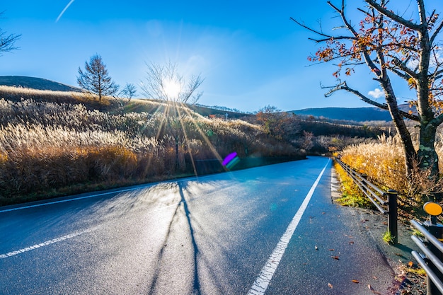 Gratis foto mooi landschap van wegkant rond berg fuji