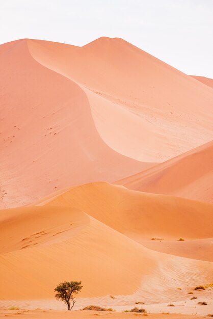 Mooi landschap van zandduinen in de woestijn van Namibië, Sossusvlei, Namibië
