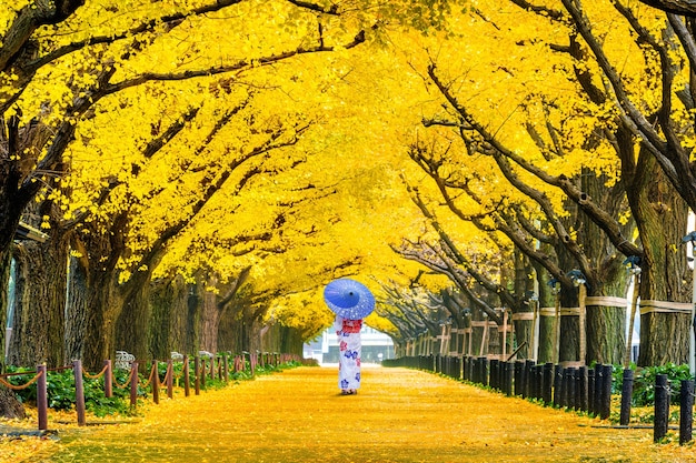 Gratis foto mooi meisje dat japanse traditionele kimono draagt bij rij van gele ginkgoboom in de herfst. herfst park in tokio, japan.