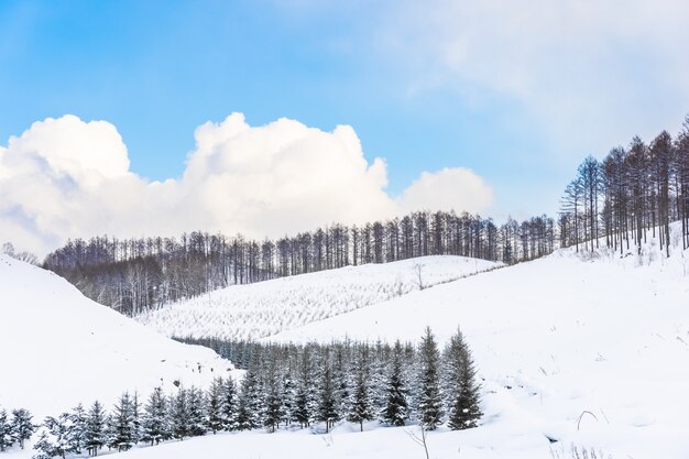 Mooi openluchtaardlandschap met boom in sneeuwwintertijd in Hokkaido