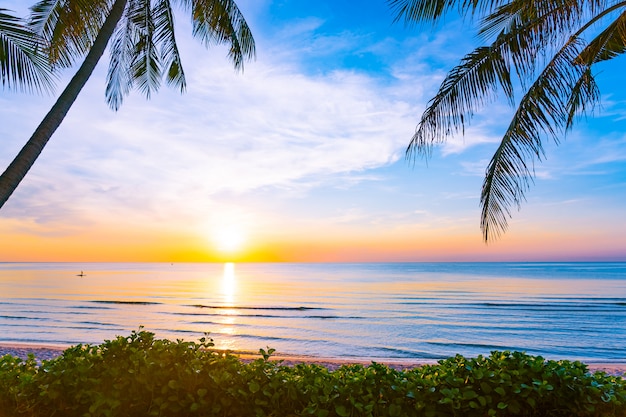 Mooi openluchtaardlandschap van overzees en strand met kokosnotenpalm