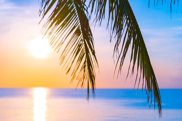 Mooi openluchtaardlandschap van overzees en strand met kokosnotenpalm