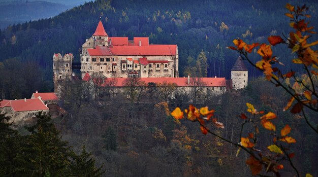 Mooi oud kasteel in bossen met de herfstlandschap