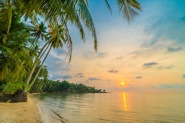 Mooi paradijseiland met strand en zee rond kokosnotenpalm