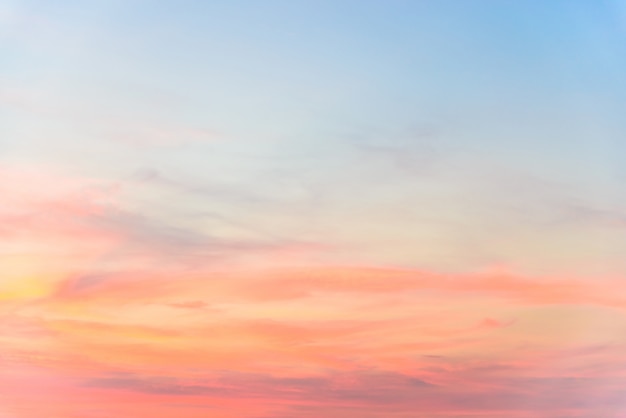 Gratis foto mooi schemerlicht kleurrijke schoonheid