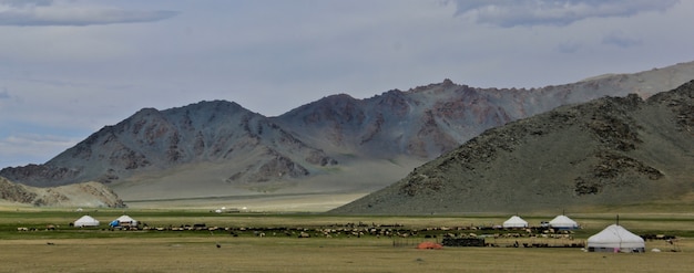 Mooi schot van de vallei van de groene berg en een bewolkte hemel