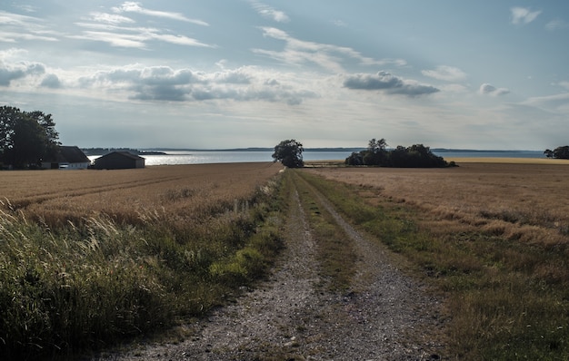 Mooi schot van een groot veld met auto tracks op de grond op het platteland