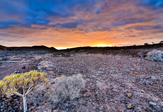 Mooi schot van een rotsachtig struikgebied onder de zonsonderganghemel in de Canarische Eilanden, Spanje