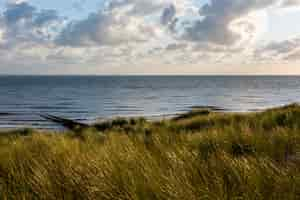 Gratis foto mooi schot van een zandstrand onder de bewolkte hemel in vlissingen, zeeland, nederland