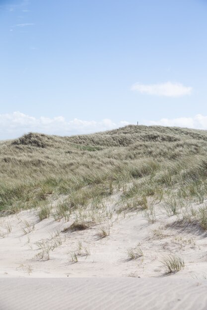 Mooi schot van heuvels bedekt met gras onder de heldere blauwe hemel