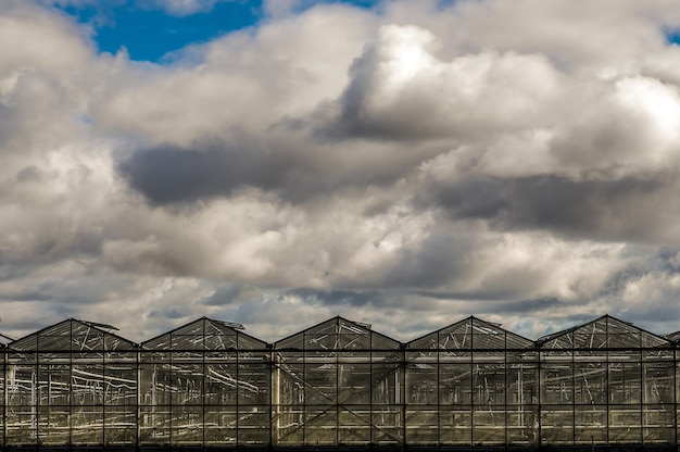 Mooi schot van kassen onder een blauwe bewolkte hemel