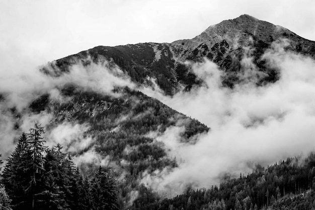 Gratis foto mooi schot van mistige bergen in een bos