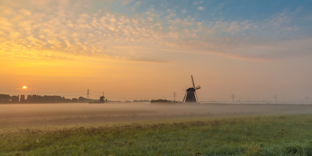 Mooi schot van molens in het veld met de zon stijgt in de