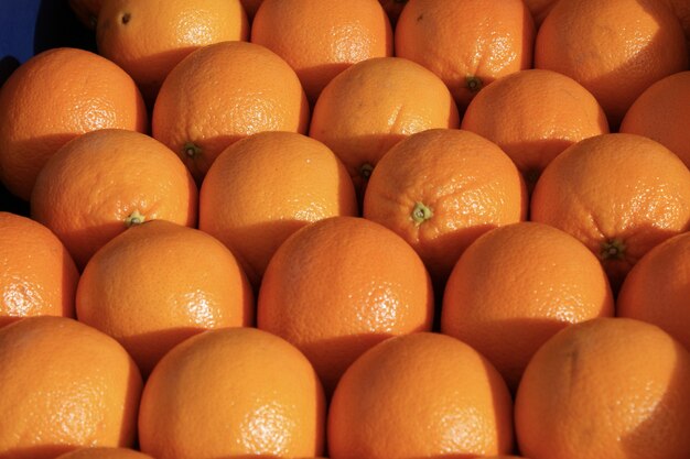 Mooi schot van sinaasappelen die samen onder de zon schijnen