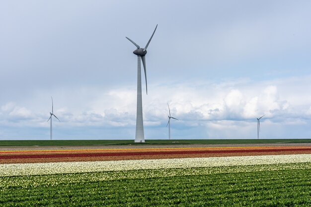 Mooi schot van windmolens in een veld met een bewolkte en blauwe hemel