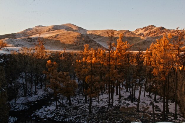 Mooi shot van een berglandschap gedeeltelijk bedekt met sneeuw